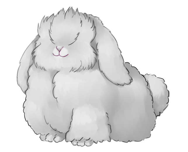 Lapin angora couleur