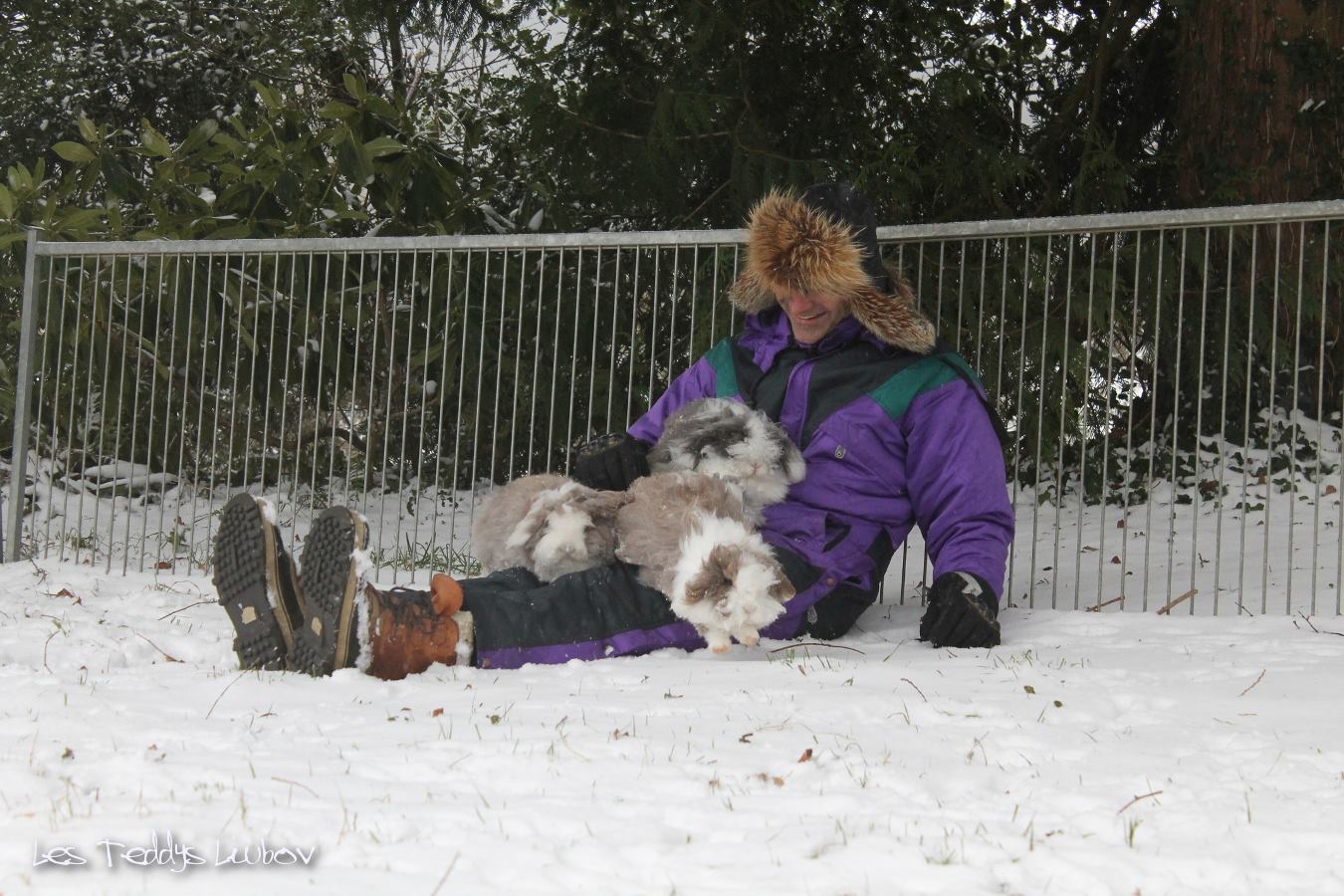 lapin dans la neige