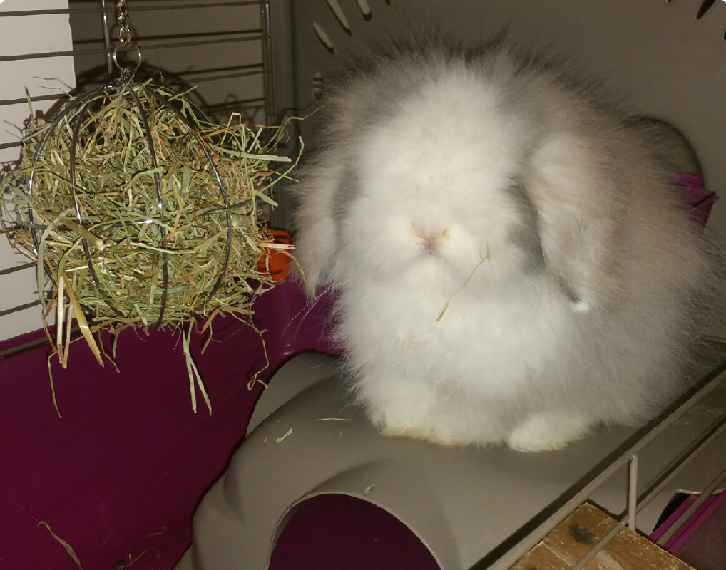 Doudou 25 mois4