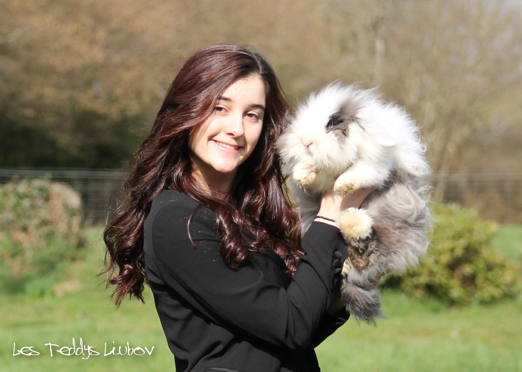 article lapin